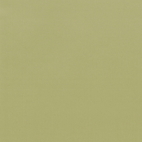 Coala Interior Colours