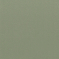 Coala Interior Colours