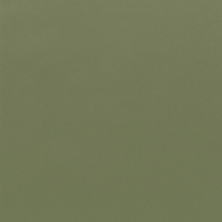 Coala Interior Colours