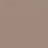 Coala Interior Colours