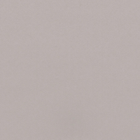 Coala Interior Colours