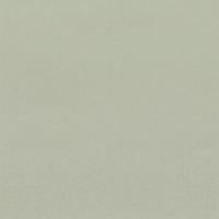Coala Interior Colours