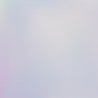 Coala Interior Film AU02