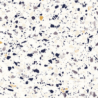 Coala Interior Film NH10
