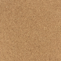 Coala Interior Film WI01