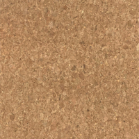 Coala Interior Film WI02