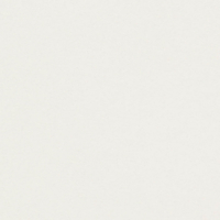 Conqueror CX22 High White