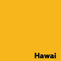 Image Coloraction Hawai/intensivgelb