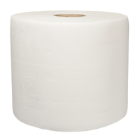 Papierputzrolle Maxi, 100 % Zellstoff, 2-lagig, weiss, 248 x 250 mm, 960 Blatt | Antalis CH