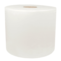 Papierputzrolle Maxi, 100 % Zellstoff, 2-lagig, weiss, 248 x 350 mm, 1050 Blatt | Antalis CH