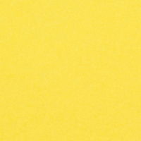 Olin Colours Citrus Yellow