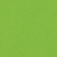 Olin Solours Pistachio