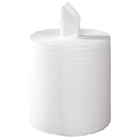 Papier-Handtuchrolle Midi, 100 % Zellstoff, 2-lagig, 200 mm x 150 m, 600 Blatt | Antalis AG