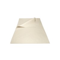 Druckausschuss, 45 g/m2, 500 x 750 mm, plano, Schachtel zu 12.5 kg | Antalis CH