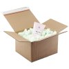 Verpackungschips Master'in Access | Antalis CH