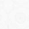 Coala Windows Decor Pattern