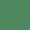 506 vert cactus brillant