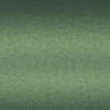 Avery SWF Matte Metallic Moss Green