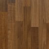 Coala Interior Film Wood