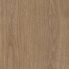 Coala Interior Film Wood