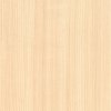 Coala Interior Film Wood