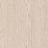 Coala Interior Film Wood