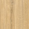 Coala Interior Film Wood