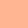Coala Interior Colours