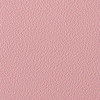 Coala Interior Colours