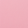 Coala Interior Colours