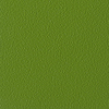 Coala Interior Colours