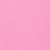 Coala Interior Colours