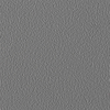Coala Interior Colours