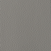 Coala Interior Colours