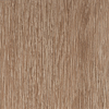 Coala Interior Film Wood