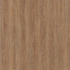 Coala Interior Film Wood
