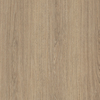 Coala Interior Film Wood