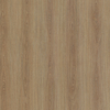 Coala Interior Film Wood