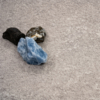 Coala Interior Film NH39 APPLI3
