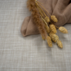 Coala Interior Film NH18 APPLI3