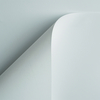 Curious Skin, extra white, 135g/m2, smooth, matt, holzfrei ECF, 700mm x 1000mm, B1, SB, Paket zu 200 Bogen/Blatt, FSC Mix Credit