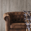 Coala Interior Film Wood