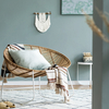 Coala Interior Colours