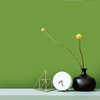 Coala Interior Colours