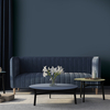 Coala Interior Colours