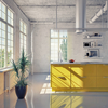 Coala Interior Colours
