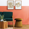 Coala Interior Colours