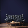 Coala Interior Colours