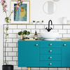 Coala Interior Colours