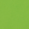 Olin Colours